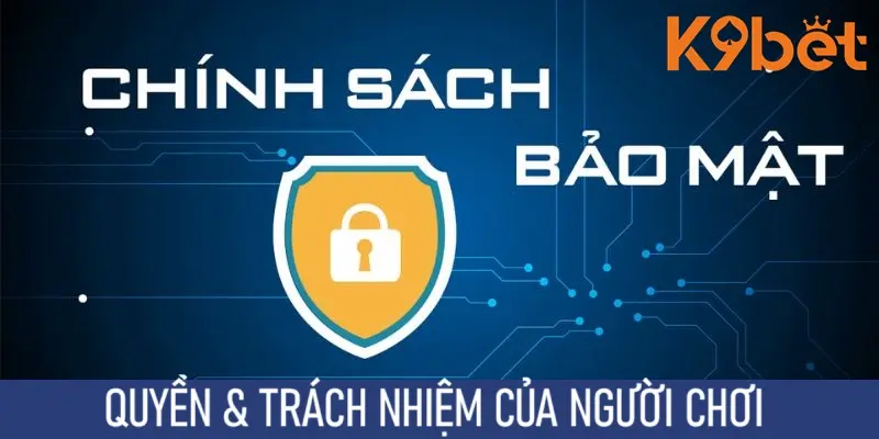 Quyền lợi và trách nhiệm của người chơi Quyền lợi và trách nhiệm của người chơi
