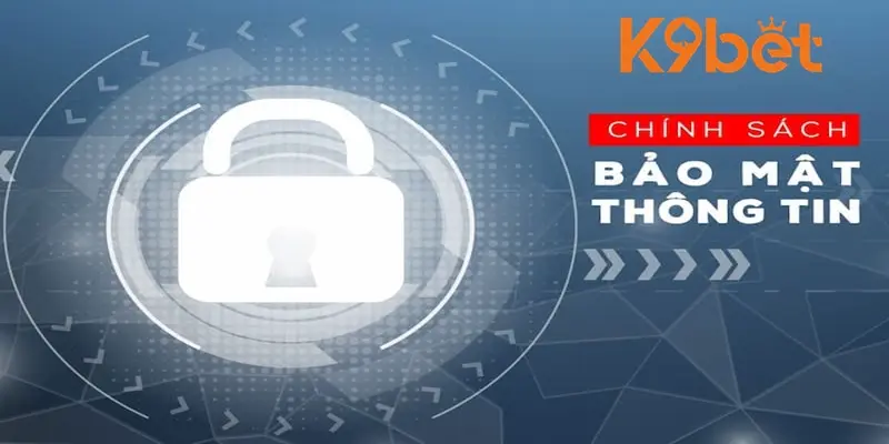 Thông tin được thu thập tại K9BET Thông tin được thu thập tại K9BET