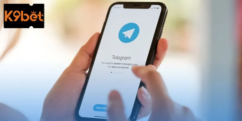 Tư vấn qua Telegram là lựa chọn nhiều cược thủ áp dụng Tư vấn qua Telegram là lựa chọn nhiều cược thủ áp dụng